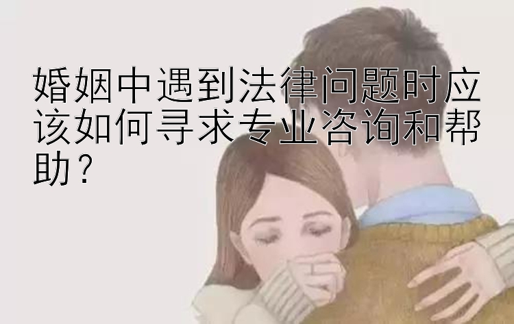 婚姻中遇到法律问题时应该如何寻求专业咨询和帮助？